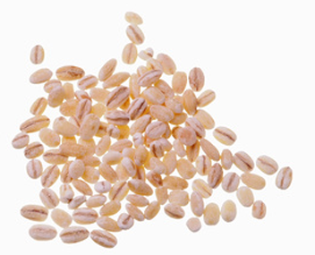 how much to cook barley