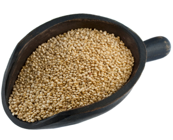 how much to cook quinoa