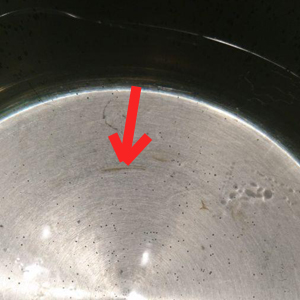 Scale in the pan