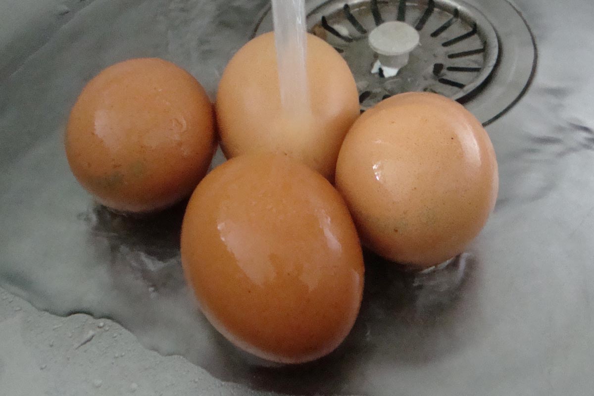 wash eggs before cooking