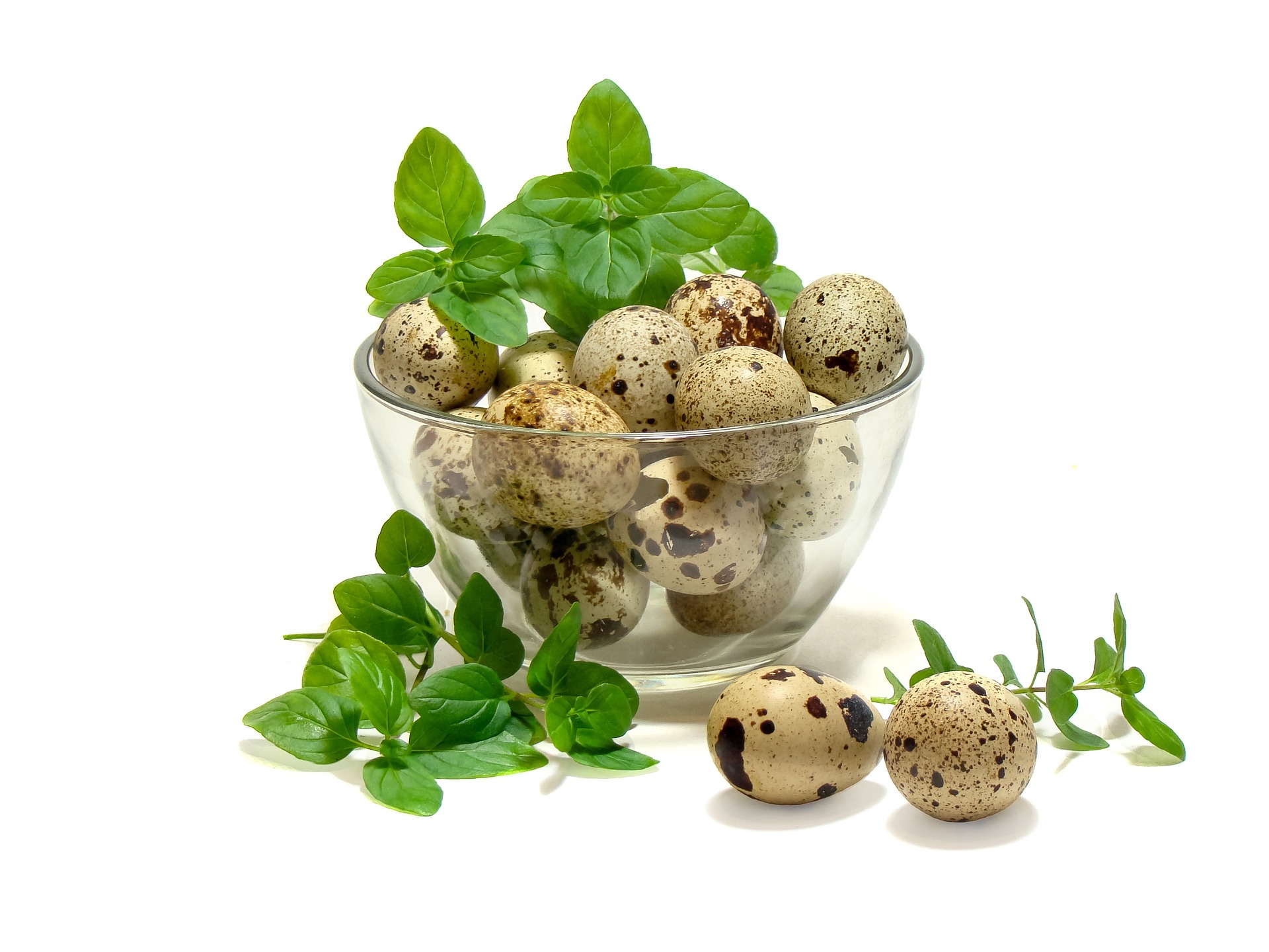 how much to cook quail eggs
