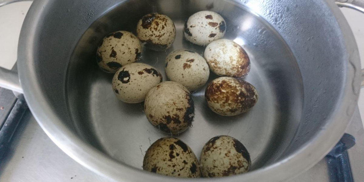 pour the quail eggs with water