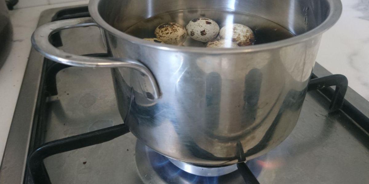 quail eggs are boiled