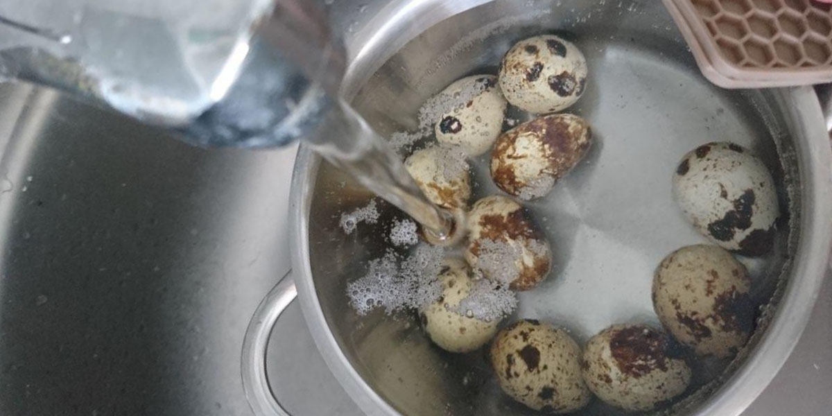 pour cold water over hot quail eggs