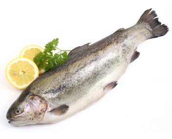 how much to cook trout