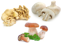 how to cook mushrooms and how much