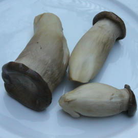boiled eringi mushrooms