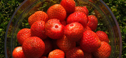 Erdbeeren geschält