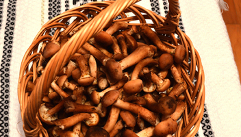 maak champignons schoon voor het bakken