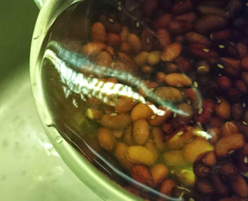 beans fermented