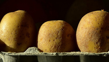 patates çıkarsa