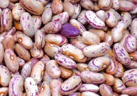 coarse beans