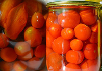 comment mariner rapidement les tomates