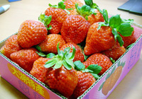 imported strawberries