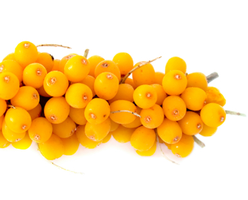 how much to cook sea buckthorn fruit drink
