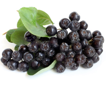 how much to cook blackberry fruit drink