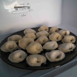 dumplings in the freezer
