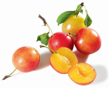 cook cherry plum jam