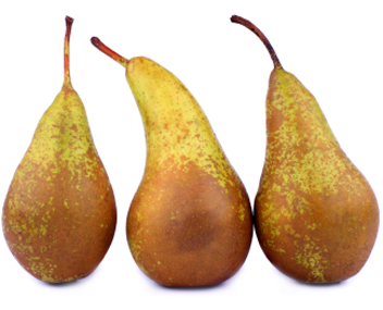 making pear jam