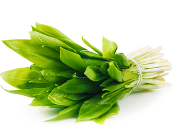 how much to cook wild garlic soup