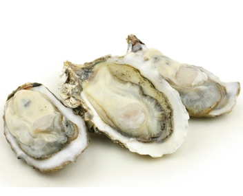how much to cook oysters