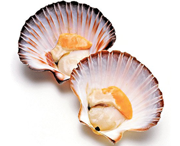 how much to cook scallop