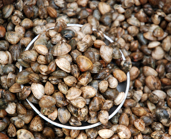 how much to cook vongole