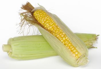 how many minutes to cook how to cook old corn