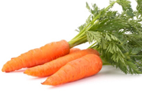 Carrot tops