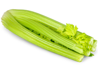 Pickled celery